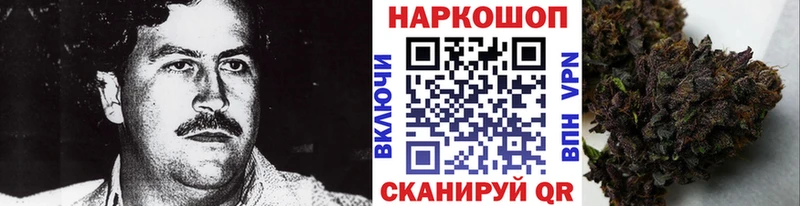 Где продают наркотики Цивильск МАРИХУАНА Псилоцибиновые грибы МЕФ СК