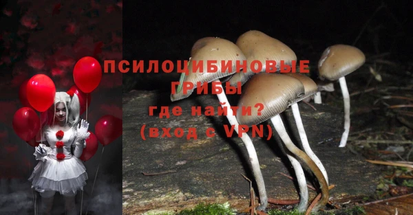 ГАЛЛЮЦИНОГЕННЫЕ ГРИБЫ Кукмор