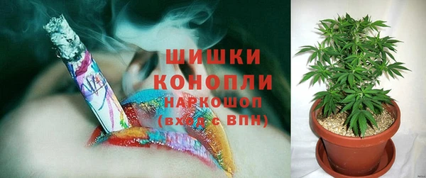 ГАЛЛЮЦИНОГЕННЫЕ ГРИБЫ Кукмор