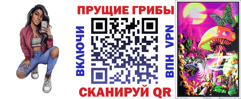 Галлюциногенные грибы MAGIC MUSHROOMS  купить наркотик  Цивильск 